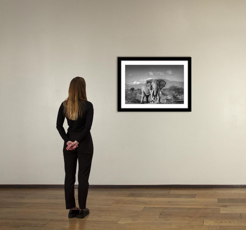 24 x 36 in., edition of 15